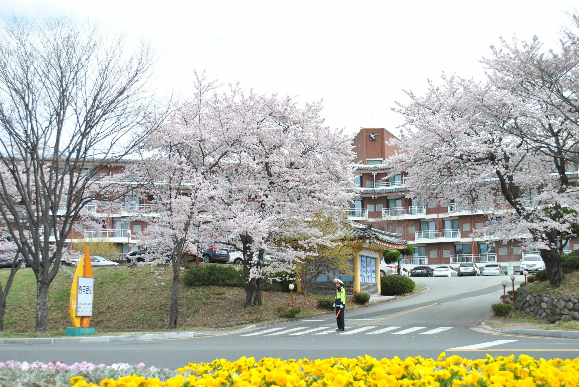 Corea Condo Gyeongju Extérieur photo