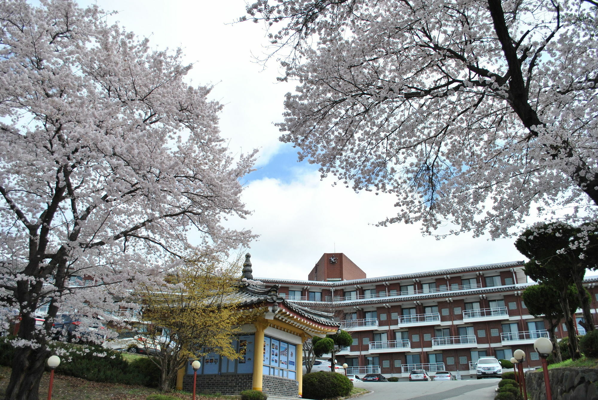 Corea Condo Gyeongju Extérieur photo
